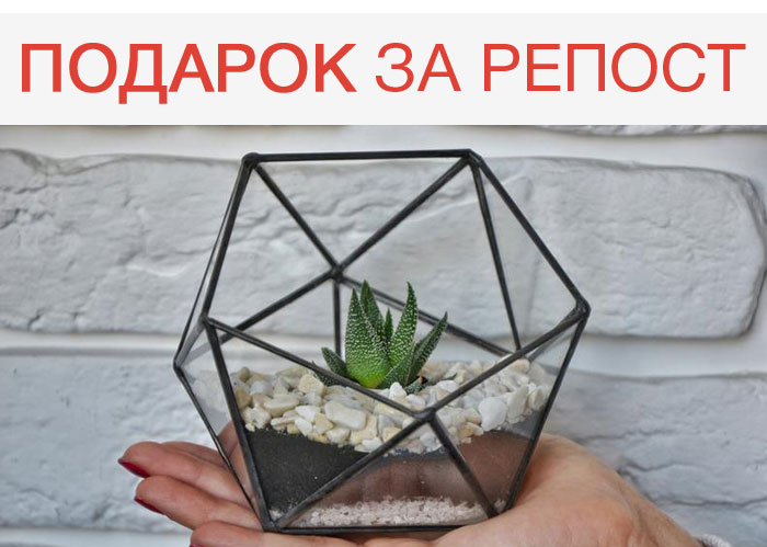 Подарок за репост - SpectRoom